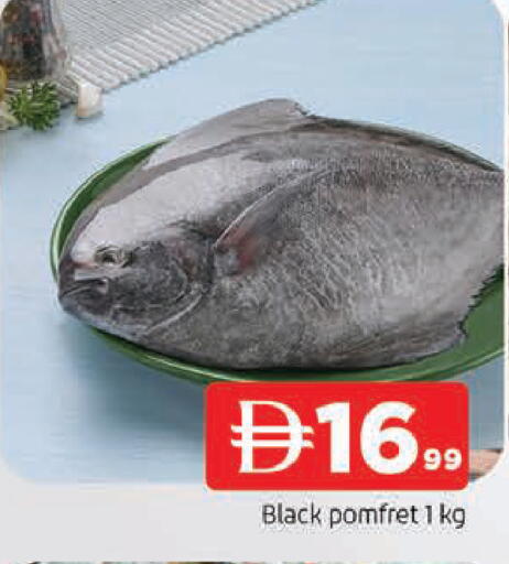 available at المدينة in الإمارات العربية المتحدة , الامارات - الشارقة / عجمان