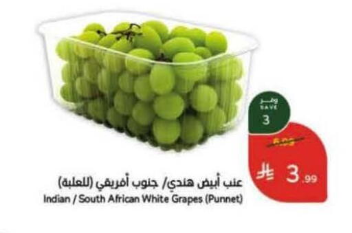 Grapes available at هايبر بنده in مملكة العربية السعودية, السعودية, سعودية - تبوك