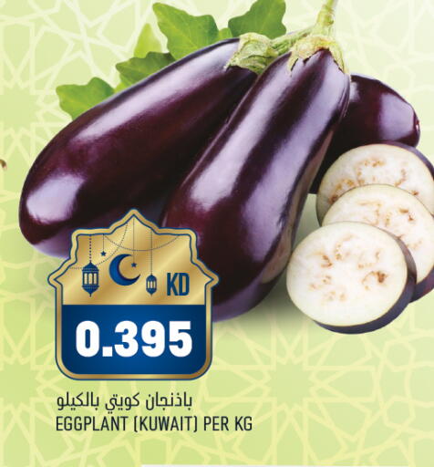 Eggplant from Kuwait available at أونكوست in الكويت - محافظة الأحمدي