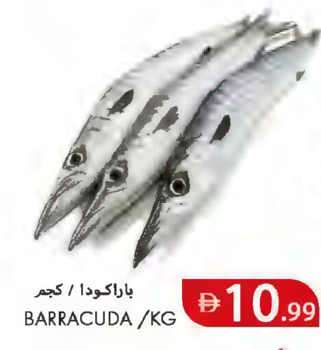 available at  روابي ماركت عجمان in الإمارات العربية المتحدة , الامارات - الشارقة / عجمان