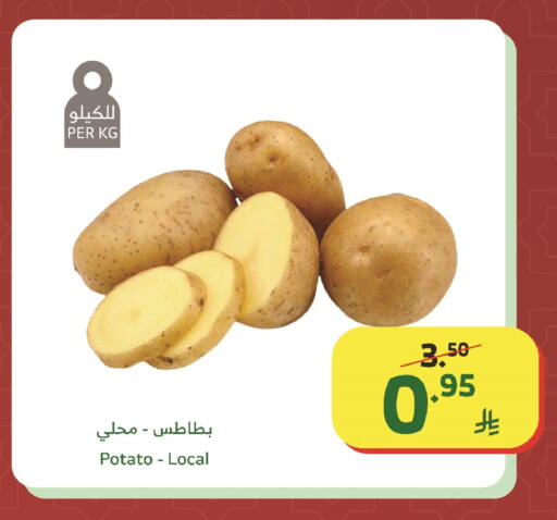Potato available at Al Raya in KSA, Saudi Arabia, Saudi - Tabuk