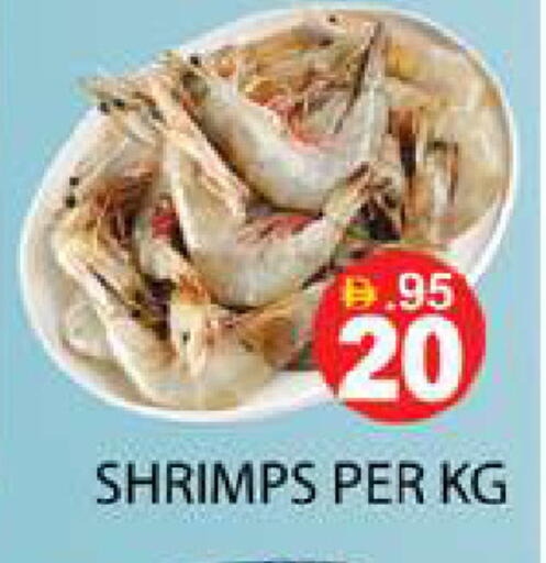 available at زين مارت سوبرماركت in الإمارات العربية المتحدة , الامارات - رَأْس ٱلْخَيْمَة