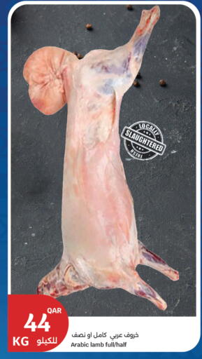 available at City Hypermarket in Qatar - Al-Shahaniya