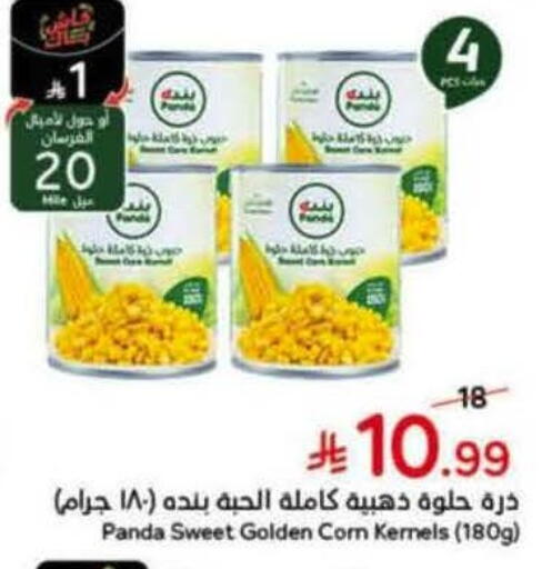 available at Hyper Panda in KSA, Saudi Arabia, Saudi - Tabuk
