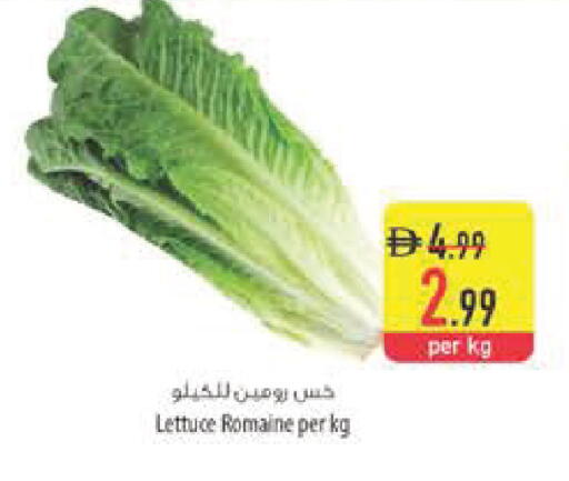 Lettuce available at السفير ماركت in الإمارات العربية المتحدة , الامارات - رَأْس ٱلْخَيْمَة