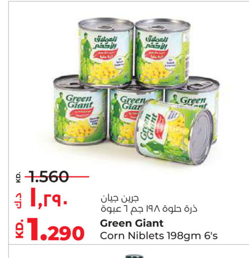 available at Lulu Hypermarket  in Kuwait - Ahmadi Governorate