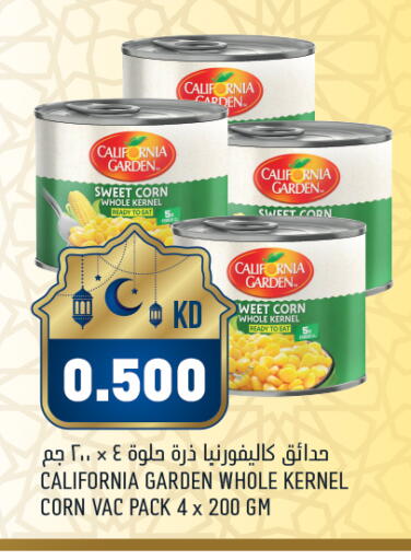 available at أونكوست in الكويت - محافظة الأحمدي