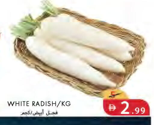 Radish available at  روابي ماركت عجمان in الإمارات العربية المتحدة , الامارات - الشارقة / عجمان