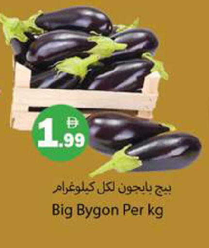 available at جلف هايبرماركت ذ.م.م in الإمارات العربية المتحدة , الامارات - رَأْس ٱلْخَيْمَة