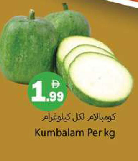 available at جلف هايبرماركت ذ.م.م in الإمارات العربية المتحدة , الامارات - رَأْس ٱلْخَيْمَة