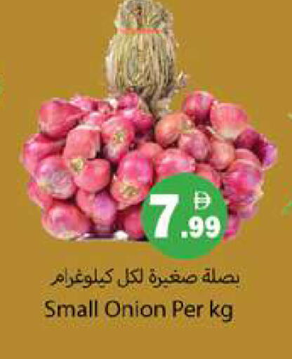 Onion available at جلف هايبرماركت ذ.م.م in الإمارات العربية المتحدة , الامارات - رَأْس ٱلْخَيْمَة