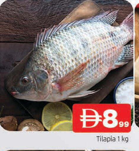 available at المدينة in الإمارات العربية المتحدة , الامارات - الشارقة / عجمان