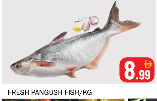 available at سوق المبارك هايبرماركت in الإمارات العربية المتحدة , الامارات - الشارقة / عجمان