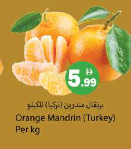 Orange from Turkey available at جلف هايبرماركت ذ.م.م in الإمارات العربية المتحدة , الامارات - رَأْس ٱلْخَيْمَة