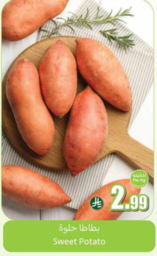 Sweet Potato available at Othaim Markets in KSA, Saudi Arabia, Saudi - Tabuk