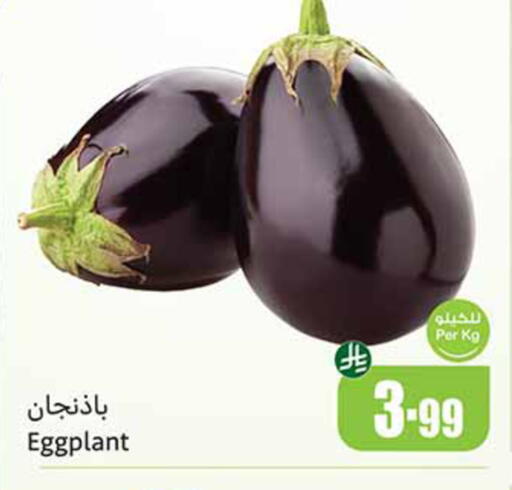 Eggplant available at Othaim Markets in KSA, Saudi Arabia, Saudi - Tabuk