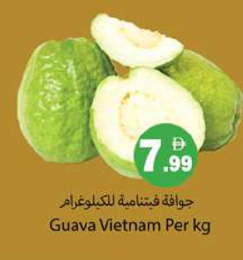 Guava from Vietnam available at جلف هايبرماركت ذ.م.م in الإمارات العربية المتحدة , الامارات - رَأْس ٱلْخَيْمَة