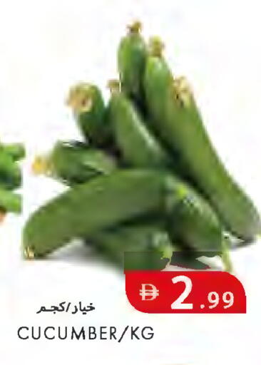 Cucumber available at  روابي ماركت عجمان in الإمارات العربية المتحدة , الامارات - الشارقة / عجمان