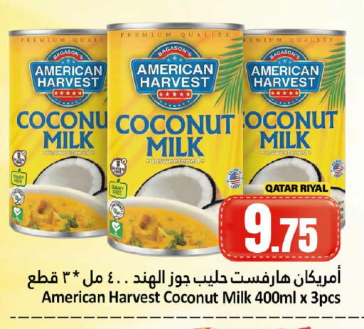 Coconut available at دانة هايبرماركت in قطر - الشحانية