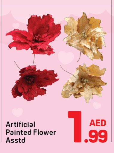 available at دي تو دي in الإمارات العربية المتحدة , الامارات - دبي