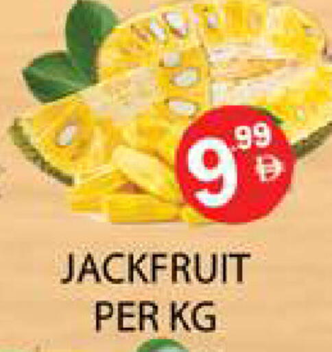 Jackfruit available at زين مارت سوبرماركت in الإمارات العربية المتحدة , الامارات - رَأْس ٱلْخَيْمَة