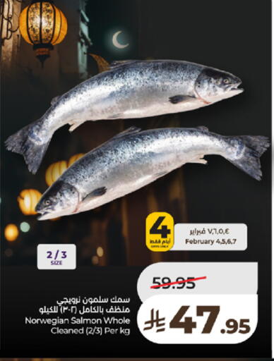 available at لولو هايبرماركت in مملكة العربية السعودية, السعودية, سعودية - تبوك