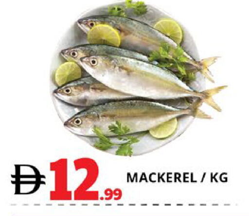 available at EXPRESS AL MADEENA HYPERMARKET LLC in UAE - Abu Dhabi