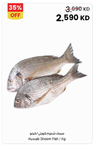 available at The Sultan Center in Kuwait - Ahmadi Governorate