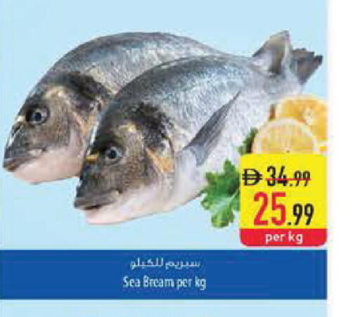 available at Safeer Market in UAE - Sharjah / Ajman