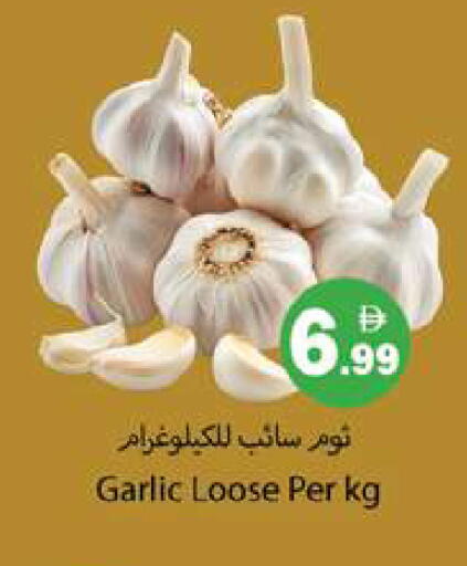 Garlic available at جلف هايبرماركت ذ.م.م in الإمارات العربية المتحدة , الامارات - رَأْس ٱلْخَيْمَة