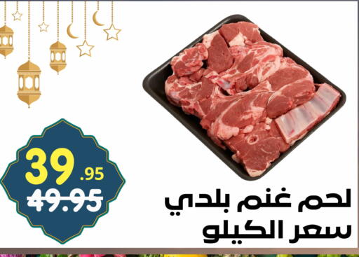 available at Bin Jahlan Markets in KSA, Saudi Arabia, Saudi - Tabuk