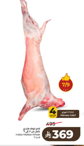 available at لولو هايبرماركت in مملكة العربية السعودية, السعودية, سعودية - تبوك