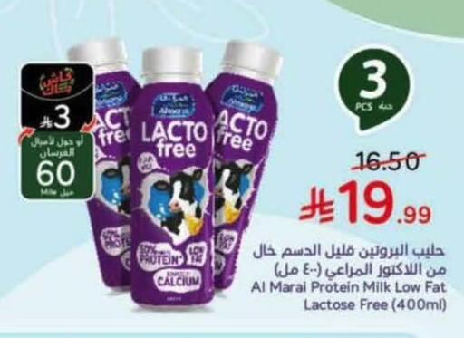 available at هايبر بنده in مملكة العربية السعودية, السعودية, سعودية - تبوك