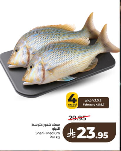 available at لولو هايبرماركت in مملكة العربية السعودية, السعودية, سعودية - تبوك