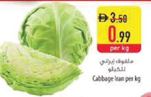 Cabbage from Iran available at Safeer Market in UAE - Sharjah / Ajman