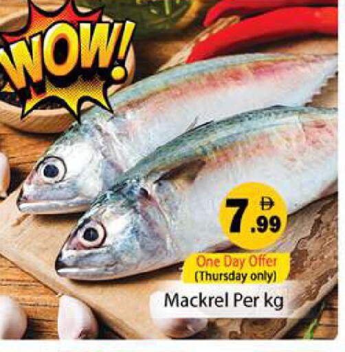 available at جلف هايبرماركت ذ.م.م in الإمارات العربية المتحدة , الامارات - رَأْس ٱلْخَيْمَة