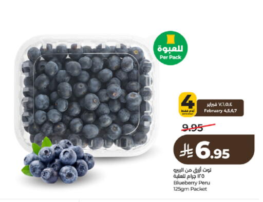 Blueberry BlueBerry available at لولو هايبرماركت in مملكة العربية السعودية, السعودية, سعودية - تبوك