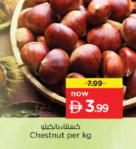 available at نستو هايبرماركت in الإمارات العربية المتحدة , الامارات - رَأْس ٱلْخَيْمَة