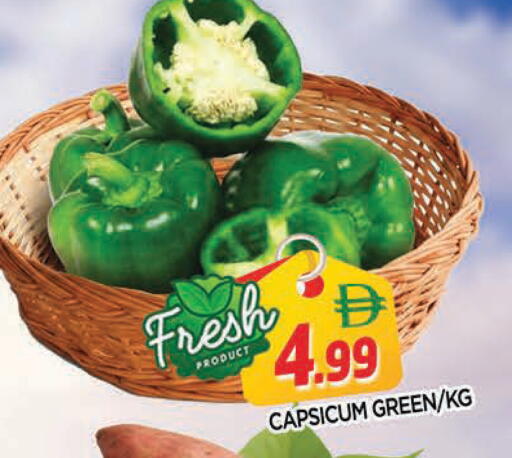 Capsicum available at المدينة in الإمارات العربية المتحدة , الامارات - الشارقة / عجمان