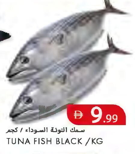 available at  روابي ماركت عجمان in الإمارات العربية المتحدة , الامارات - الشارقة / عجمان