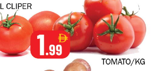 Tomato available at سوق المبارك هايبرماركت in الإمارات العربية المتحدة , الامارات - الشارقة / عجمان