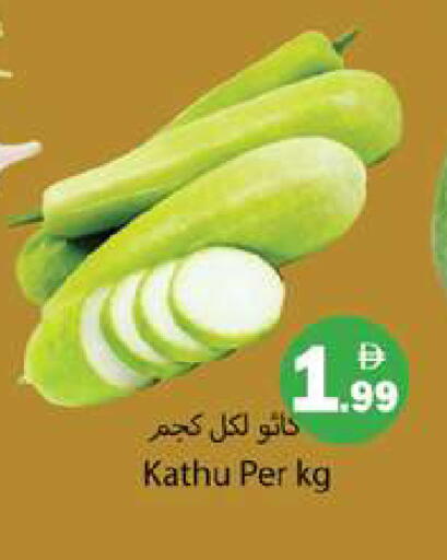 available at جلف هايبرماركت ذ.م.م in الإمارات العربية المتحدة , الامارات - رَأْس ٱلْخَيْمَة