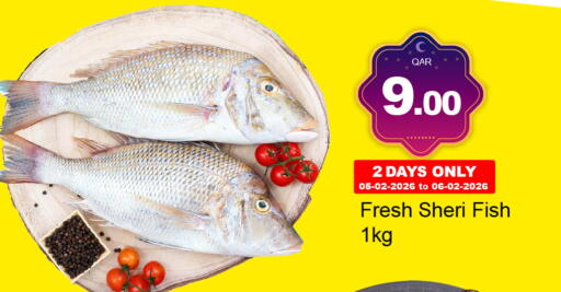 available at جي-ماكس هايبرماركت in قطر - الوكرة