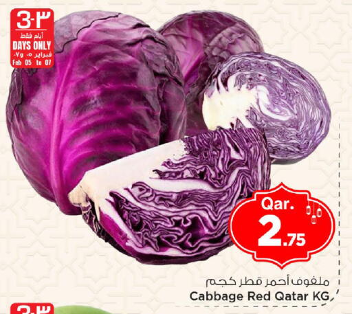 Cabbage from Qatar available at مارك & سيف in قطر - الوكرة