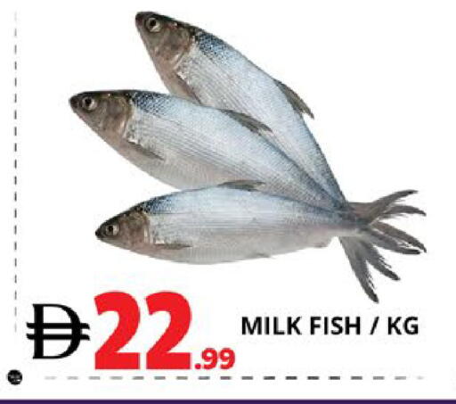 available at EXPRESS AL MADEENA HYPERMARKET LLC in UAE - Abu Dhabi