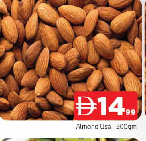 available at المدينة in الإمارات العربية المتحدة , الامارات - الشارقة / عجمان