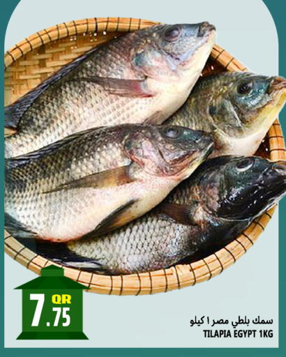 available at قصر الأغذية هايبرماركت in قطر - الدوحة