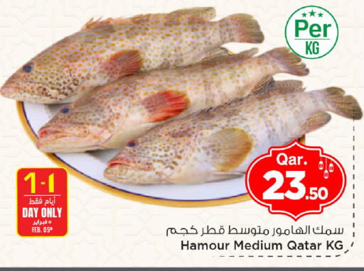 available at مارك & سيف in قطر - الوكرة