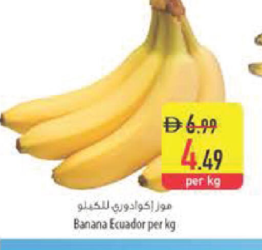 Banana from Ecuador available at Safeer Market in UAE - Abu Dhabi