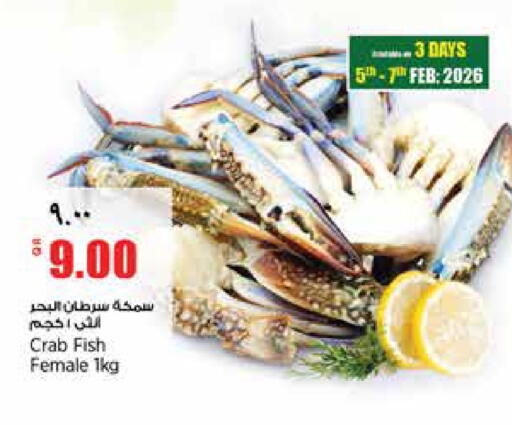 available at New Indian Supermarket in Qatar - Al Wakra